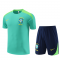 Brazil 2024 Green Soccer Jerseys + Short Men's