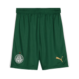 SE Palmeiras 2024 Away Soccer Shorts Men's