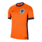 Netherlands 2024 Home EURO Soccer Jerseys Men's