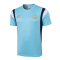 Manchester City 2023-24 Blue Soccer Training Jerseys Men's
