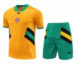 Bayern Munich 2023-24 Yellow Soccer Jerseys + Short Men's