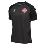 Denmark 2022 Special Edition Black Soccer Jerseys Men's
