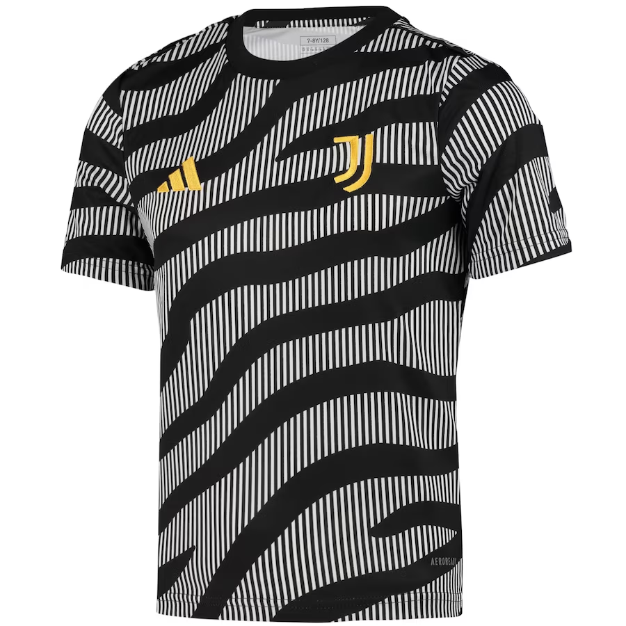 Juventus 2023-24 Grey Soccer Training Jerseys Men's